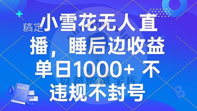 小雪花无人直播 睡后收益单日1000+ 零粉丝新号开播 不违规 看完就会-舜爸的藏宝库