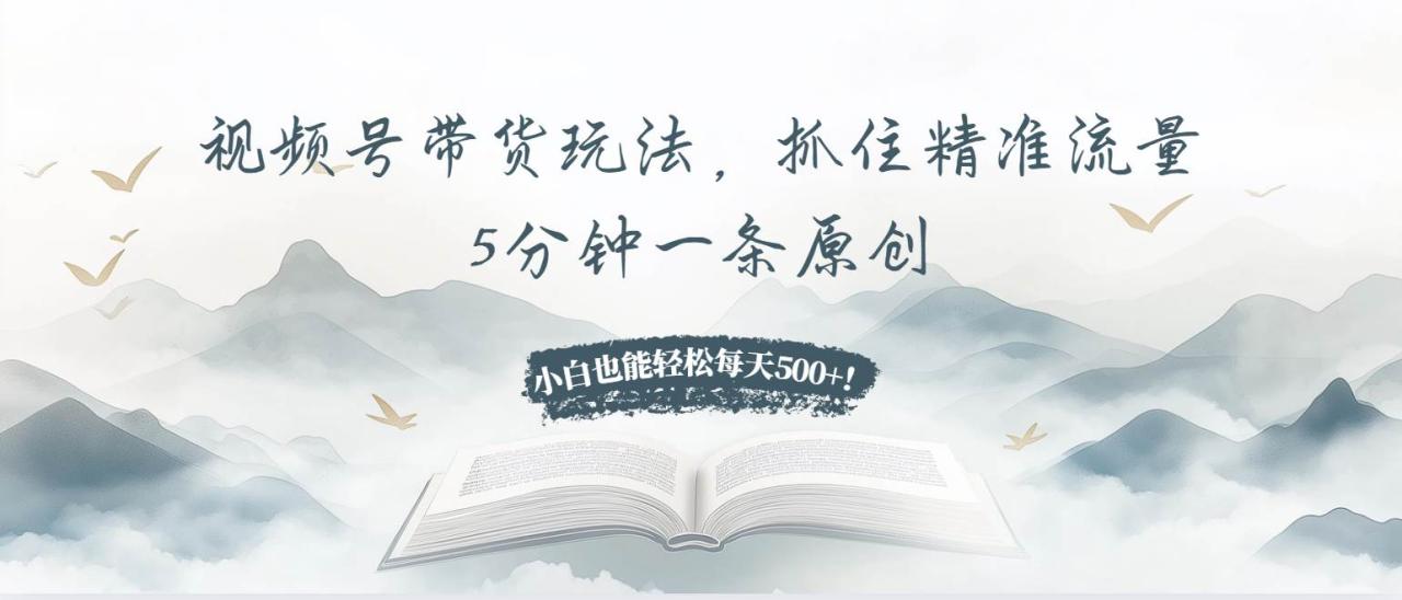 视频号带货玩法，抓住精准流量，5分钟一条原创，小白也能轻松每天500+！-舜爸的藏宝库