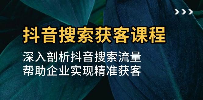 抖音搜索获客课程：深入剖析抖音搜索流量，帮助企业实现精准获客-舜爸的藏宝库
