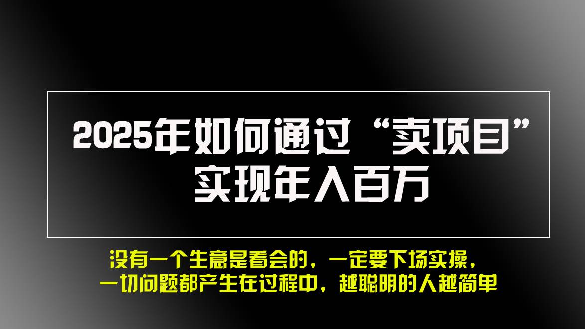 2025年如何通过“卖项目”实现年入百万，做网赚必看！！-舜爸的藏宝库