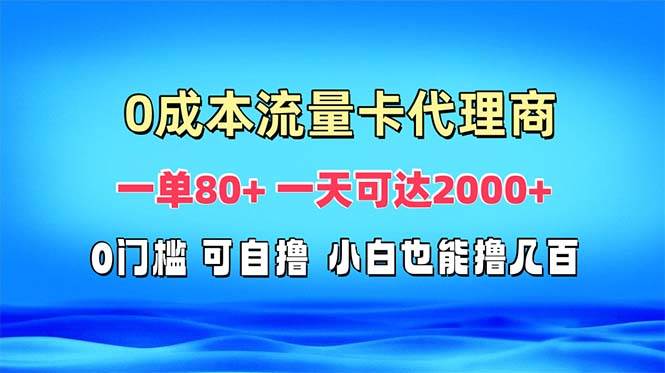 免费流量卡代理一单80+ 一天可达2000+-舜爸的藏宝库