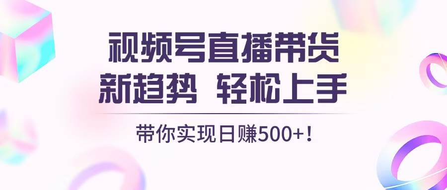 视频号直播带货新趋势，轻松上手，带你实现日赚500+-舜爸的藏宝库