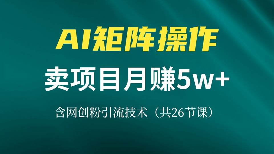 网创IP打造课，借助AI卖项目月赚5万+，含引流技术（共26节课）-舜爸的藏宝库