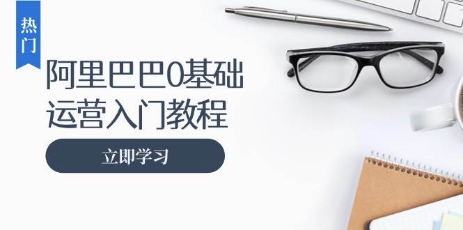 阿里巴巴运营零基础入门教程：涵盖开店、运营、推广，快速成为电商高手-舜爸的藏宝库