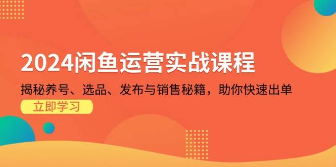 2024闲鱼运营实战课程：揭秘养号、选品、发布与销售秘籍，助你快速出单-舜爸的藏宝库