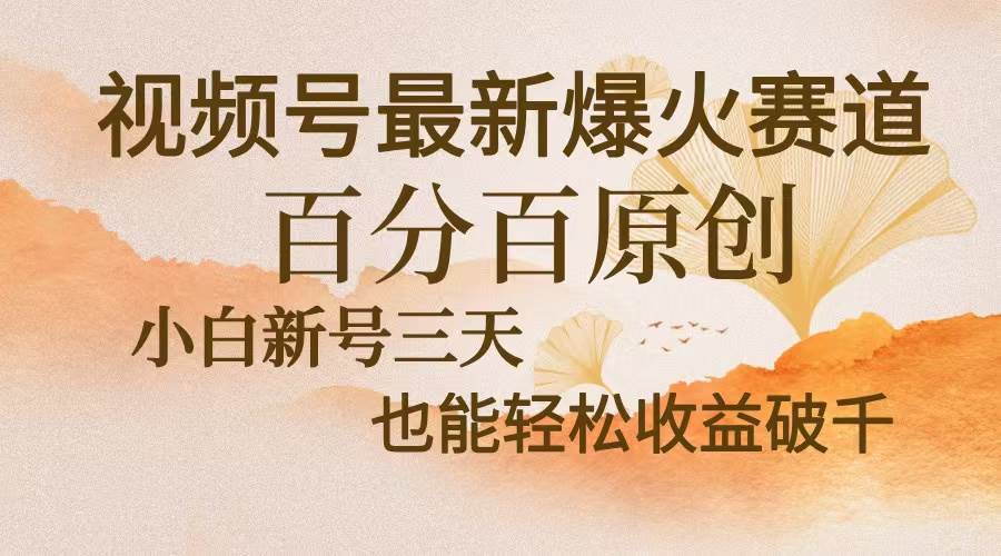 视频号最新爆火赛道，中老年粉深信不疑，百分百原创，新号三天收益轻松…-舜爸的藏宝库