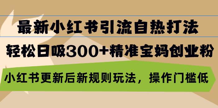 最新小红书引流自热打法，轻松日吸300+精准宝妈创业粉-舜爸的藏宝库