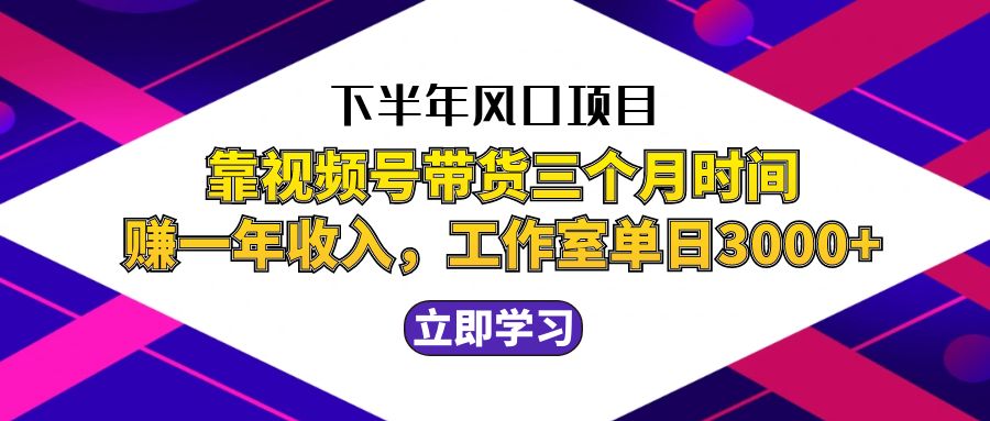 下半年风口项目：三个月靠视频号带货，实现一年收入！-舜爸的藏宝库