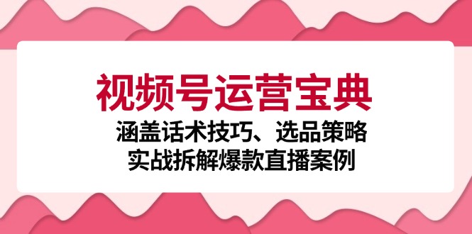 视频号运营秘籍：话术技巧、选品策略与爆款直播案例全解析!-舜爸的藏宝库