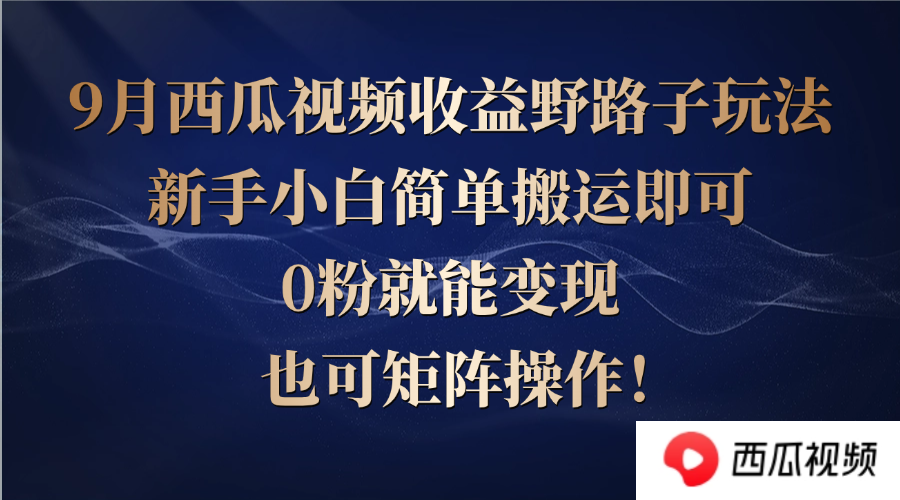 西瓜视频收益新玩法：新手搬运轻松变现，0粉也能赚钱-舜爸的藏宝库