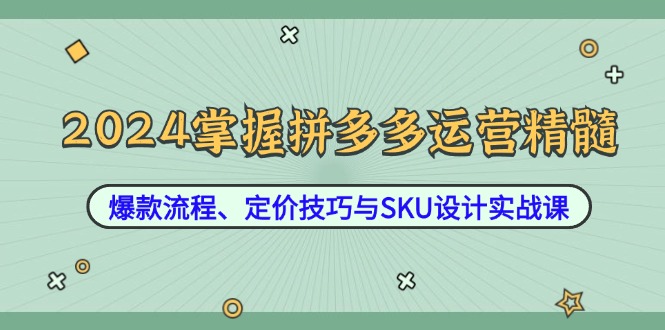 2024拼多多运营全攻略：爆款打造、定价策略与SKU设计实战-舜爸的藏宝库