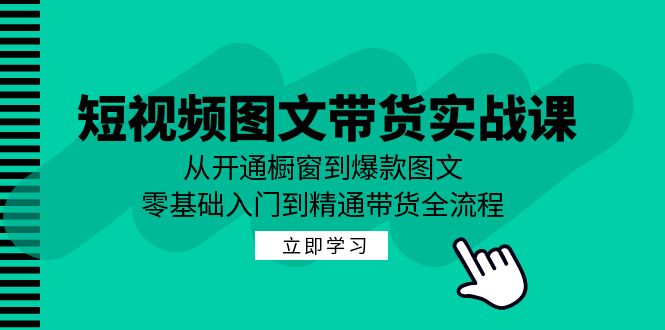 短视频与图文带货实战课：从橱窗开通到爆款打造，零基础轻松入门到精通-舜爸的藏宝库