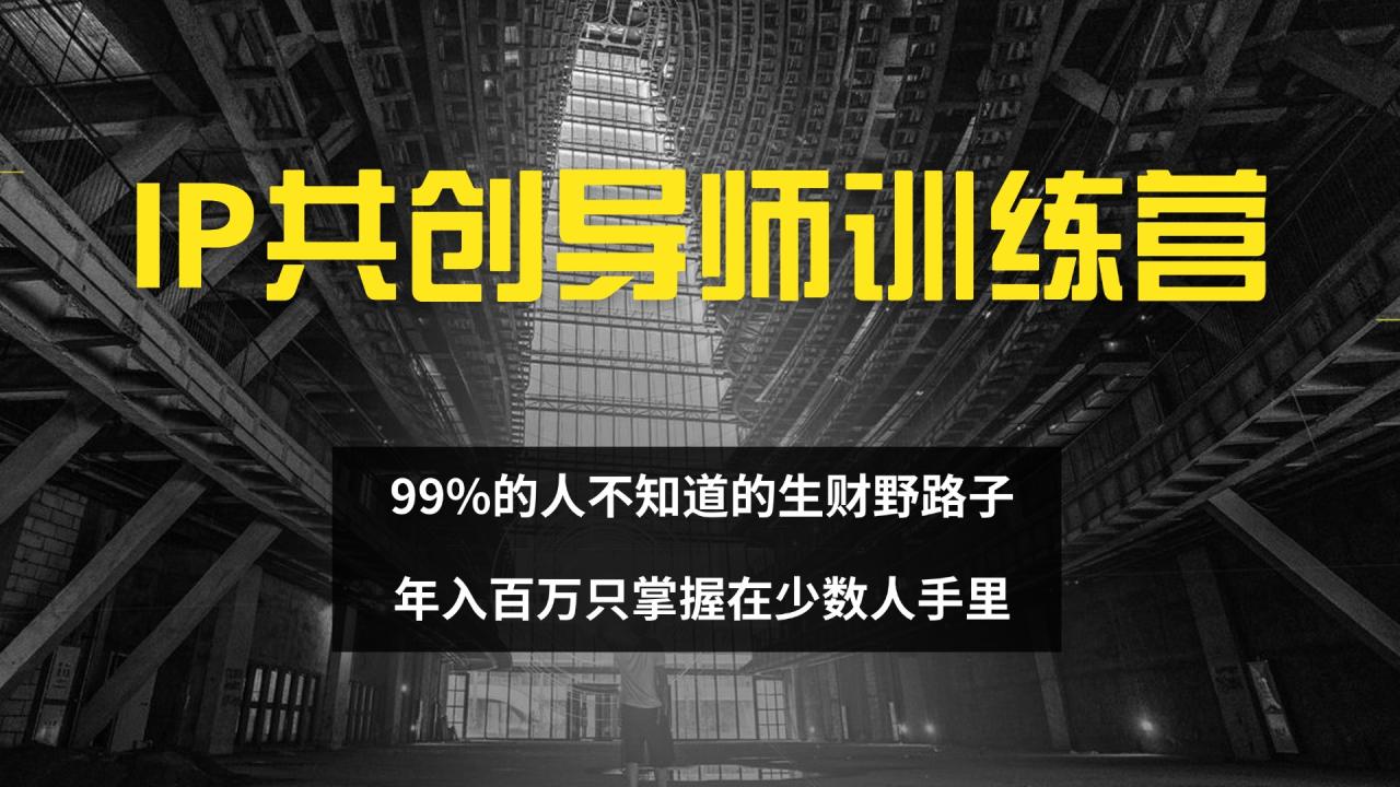 IP共创导师训练营：揭秘99%人未涉足的财富秘密，仅限少数人掌握-舜爸的藏宝库