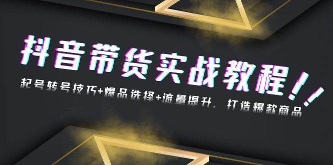 抖音带货实战教程：起号转号技巧+爆品选择+流量提升，打造爆款商品-舜爸的藏宝库