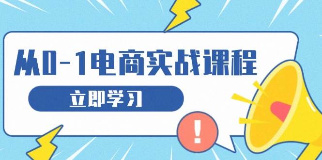 从零做电商实战课程，教你如何获取访客、选品布局，搭建基础运营团队-舜爸的藏宝库