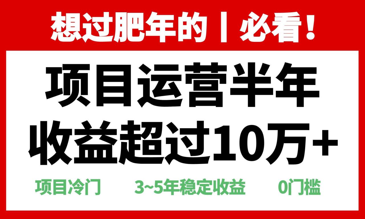 年前过肥年的必看的超冷门项目，半年收益超过10万+，-舜爸的藏宝库