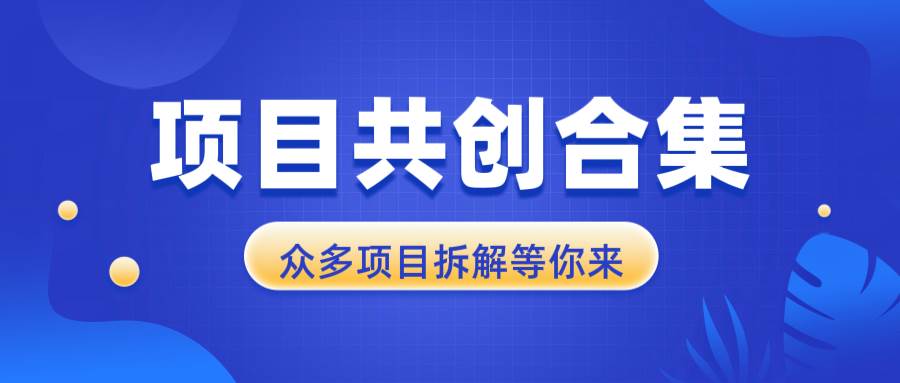 项目共创合集，从0-1全过程拆解，让你迅速找到适合自已的项目_付费教程虚拟资源创业项目网-舜爸的藏宝库